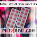 Male Sexual Stimulant Pills 19